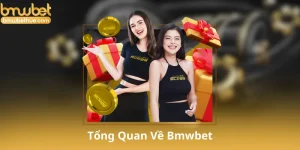 Tổng Quan Về Bmwbet