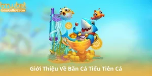 Giới Thiệu Về Bắn Cá Tiểu Tiên Cá