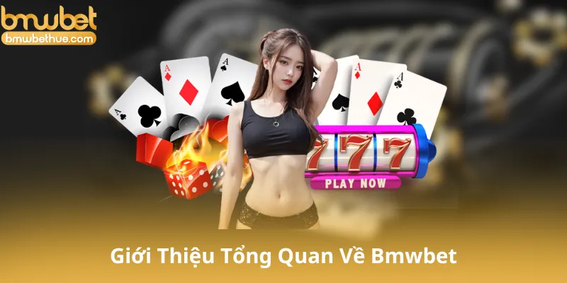 Giới Thiệu Tổng Quan Về Bmwbet