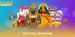 Giới Thiệu Về Nohu88