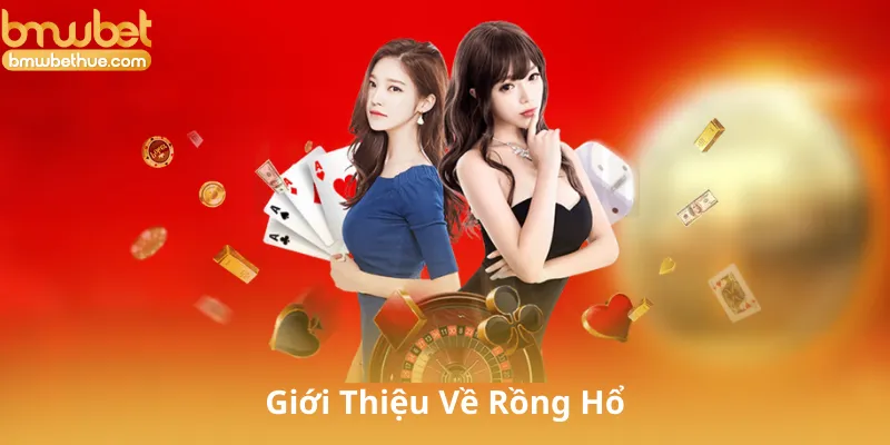 Giới Thiệu Về Rồng Hổ