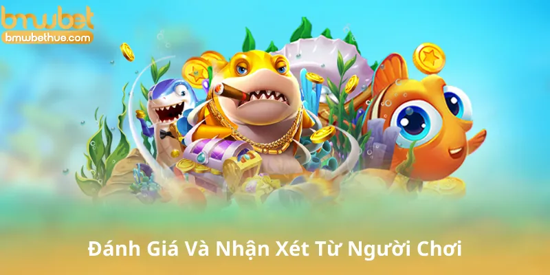 Đánh Giá Và Nhận Xét Từ Người Chơi